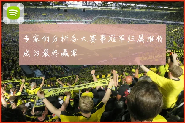 专家们分析各大赛事冠军归属谁将成为最终赢家