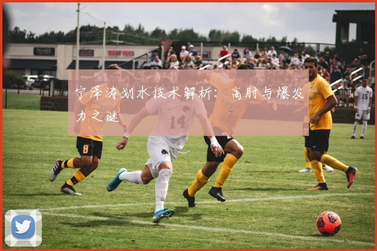 宁泽涛划水技术解析：高肘与爆发力之谜