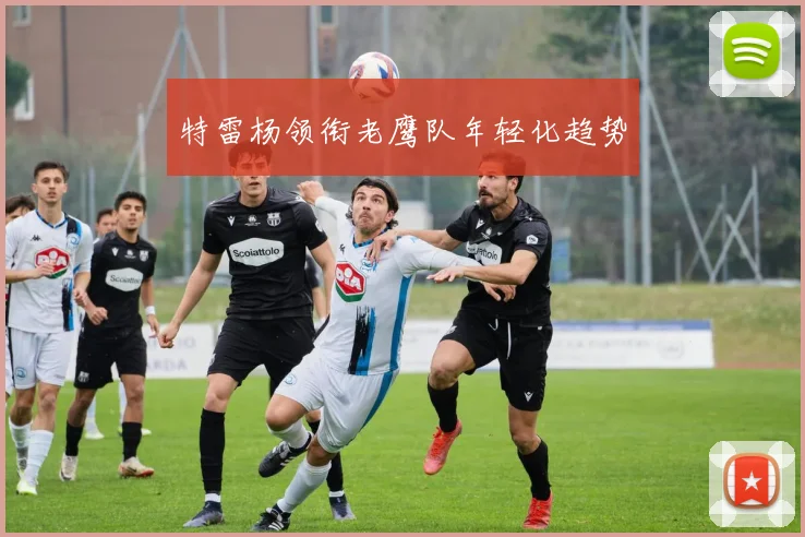 特雷杨领衔老鹰队年轻化趋势