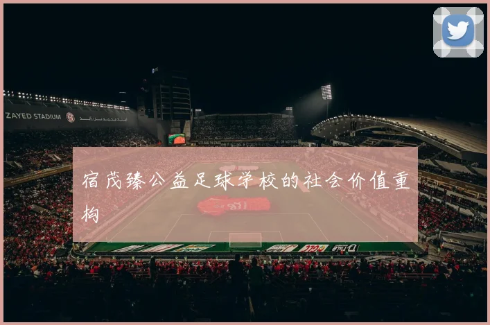 宿茂臻公益足球学校的社会价值重构