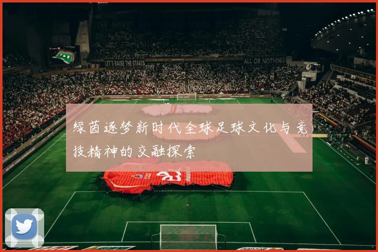 绿茵逐梦新时代全球足球文化与竞技精神的交融探索